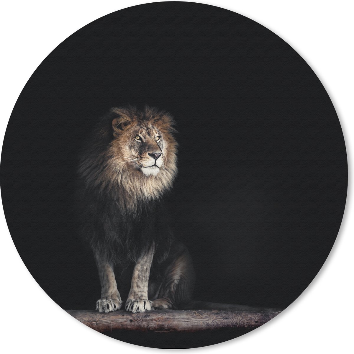 Muismat rond 20x20 cm - Mousepad Leeuw - Licht - Portret - Ronde muismatten