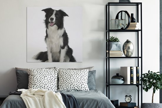 Tableau Tableau Portrait photo d'un bon border collie assis - 90x90 cm - Décoration murale Art