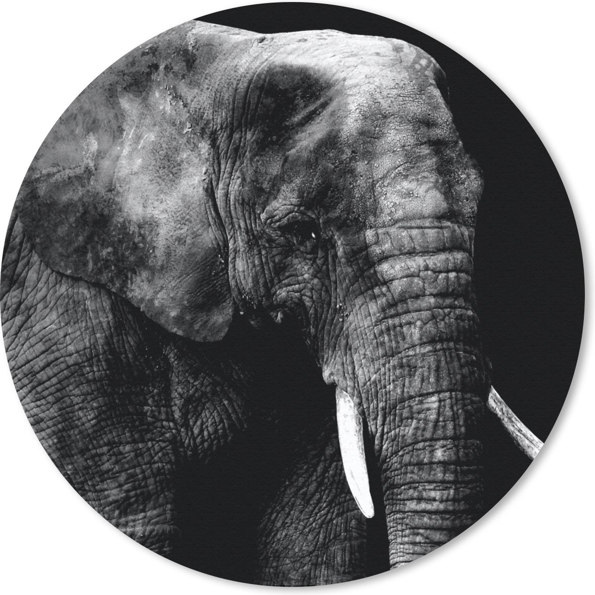 Muismat rond 20x20 cm - Mousepad Olifant - Tanden - Zwart - Wit - Ronde muismatten