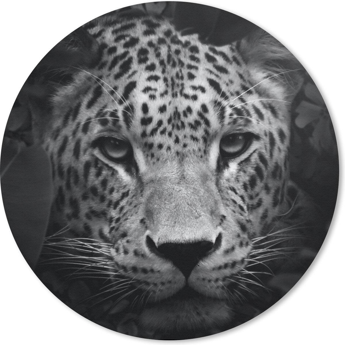 Muismat rond 20x20 cm - Mousepad Dieren - Panter - Jungle - Zwart - Wit - Ronde muismatten