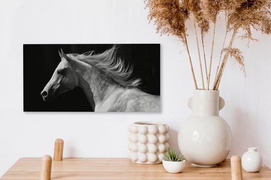 Tableau sur Toile Paarden - Animal de la Ferme - Crinière - 40x20 cm - Décoration murale