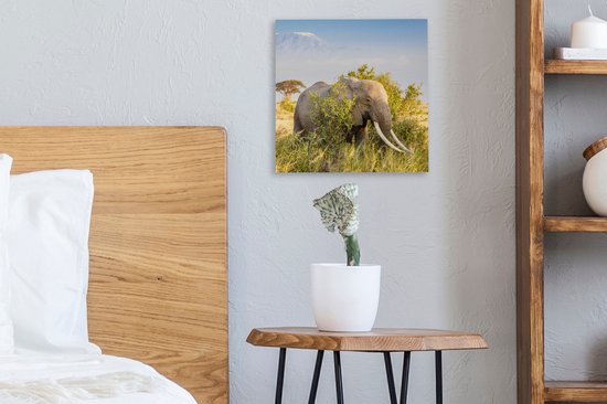 Tableau Toile Éléphant - Animaux - Herbe - Vert - Berg - 20x20 cm - Décoration Murale