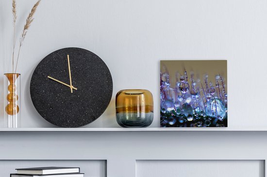 Tableau sur toile A close up early rosée - 20x20 cm - Décoration murale Art