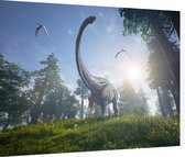 Dinosaurus langnek surprise (Alamosaurus) - Foto op Dibond - 80 x 60 cm