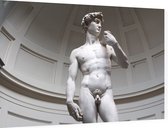 David, Michelangelo's meesterwerk in Florence - Foto op Dibond - 90 x 60 cm