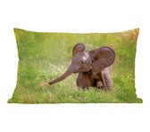 Sierkussens - Kussen - Baby olifant in het gras - 50x30 cm - Kussen van katoen