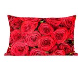 Sierkussen - Bouquet de Roses - Multicolore - 30 Cm X 50 Cm