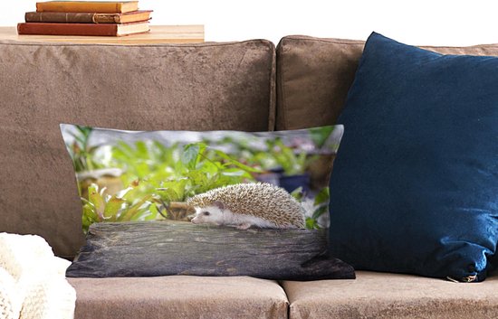 Sierkussen Hérisson pour l'intérieur - Hérisson marche sur une souche d'arbre - 50x30 cm - Coussin intérieur rectangulaire en coton