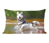 Sierkussens - Kussen - Husky in het water - 50x30 cm - Kussen van katoen