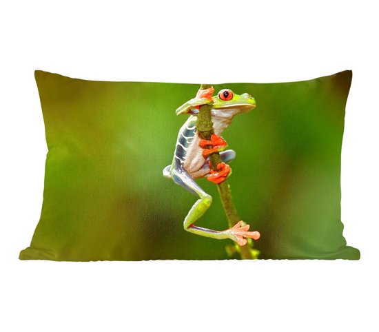 Sierkussen Jungle Residents pour intérieur - Agalychnis callidryas in the jungle - 50x30 cm - coussin intérieur rectangulaire en coton