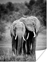 Poster Olifanten in Kenia - zwart wit - 30x40 cm
