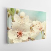 Canvas schilderij - Cherry blossoms against a blue sky -    98549624 - 50*40 Horizontal