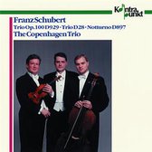 The Copenhagen Trio - Trio Works (CD)