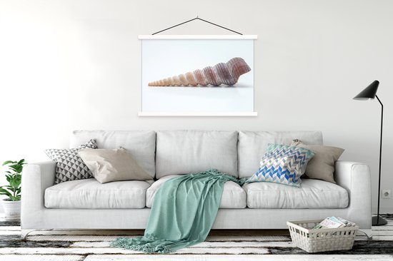 Affiche scolaire - Coquille - Longue - Pointe - 150x100 cm - Affiche textile Lattes Witte - Affiche textile