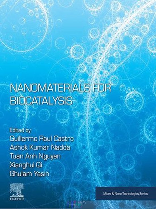 Micro and Nano Technologies - Nanomaterials for Biocatalysis (ebook ...