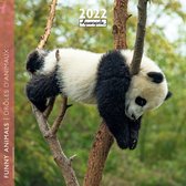 Funny Animals Kalender 2022