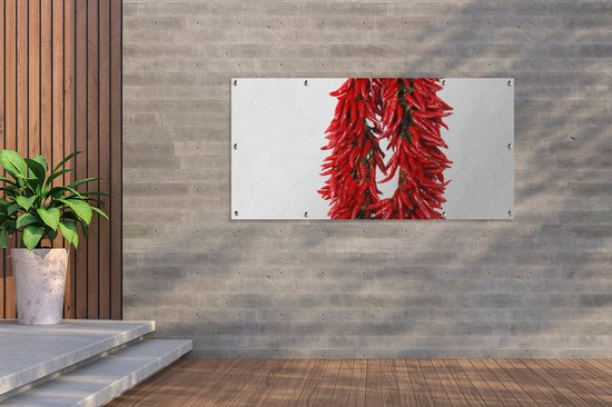 Décoration murale d'extérieur Une guirlande de piments de Cayenne ou Capsicum frutescens - 160x80 cm - Toile jardin - Poster extérieur