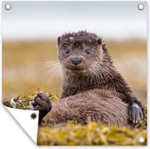 Tuinposters Schotse Otter - 50x50 cm - Tuindoek - Buitenposter