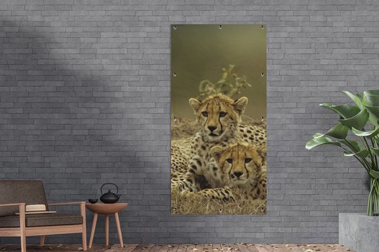 Décoration murale d'extérieur Jeunes guépards - 80x160 cm - Toile de jardin - Poster extérieur
