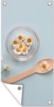 Poster de jardin Fleurs de camomille sur fond bleu clair - 40x80 cm - Décoration murale Extérieur - Poster de jardin - Toile de jardin - Poster de clôture - Tableau de jardin