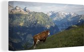Canvas Schilderij Koe op de bergweide in het Nationaal park Hohe Tauern in Oostenrijk - 80x40 cm - Wanddecoratie