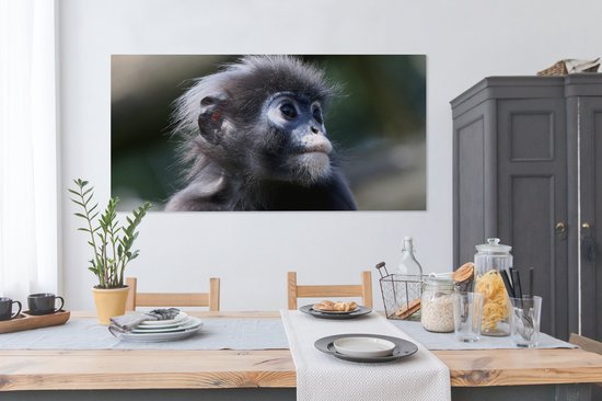 Canvas schilderij 160x80 cm - Wanddecoratie Apen - Dieren - Natuur - Muurdecoratie woonkamer - Slaapkamer decoratie - Kamer accessoires - Schilderijen