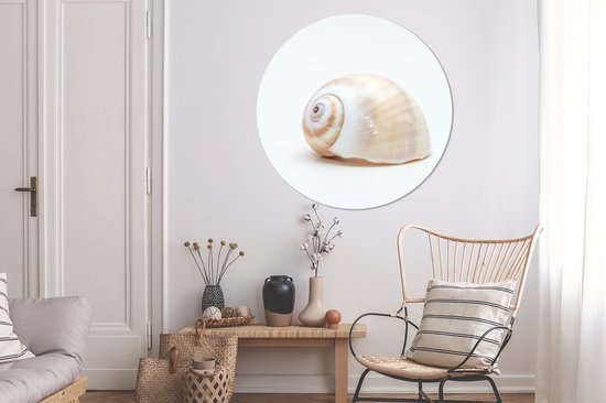 WallCircle - Peinture - Coquillage Animaux Spirale Et - Multicolore - 140 X 140 Cm