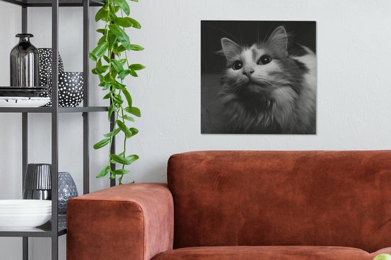 Tableau sur toile Profil animal chat en noir et blanc - 50x50 cm - Décoration murale