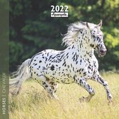Paarden Kalender 2022