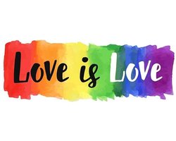 GoedeDoelen.Shop | (Auto) sticker Love is Love | 13 x 4,7 cm | Autosticker | Scootersticker | LGBTQ Sticker | LGBTQ | Pride | Rainbow |