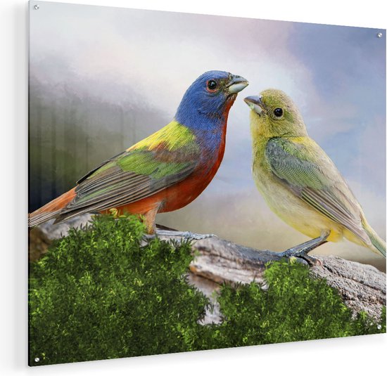 Artaza Glasschilderij - Getekende Gorzen Vogels - Kleur - Abstract - Plexiglas Schilderij - Foto op Glas