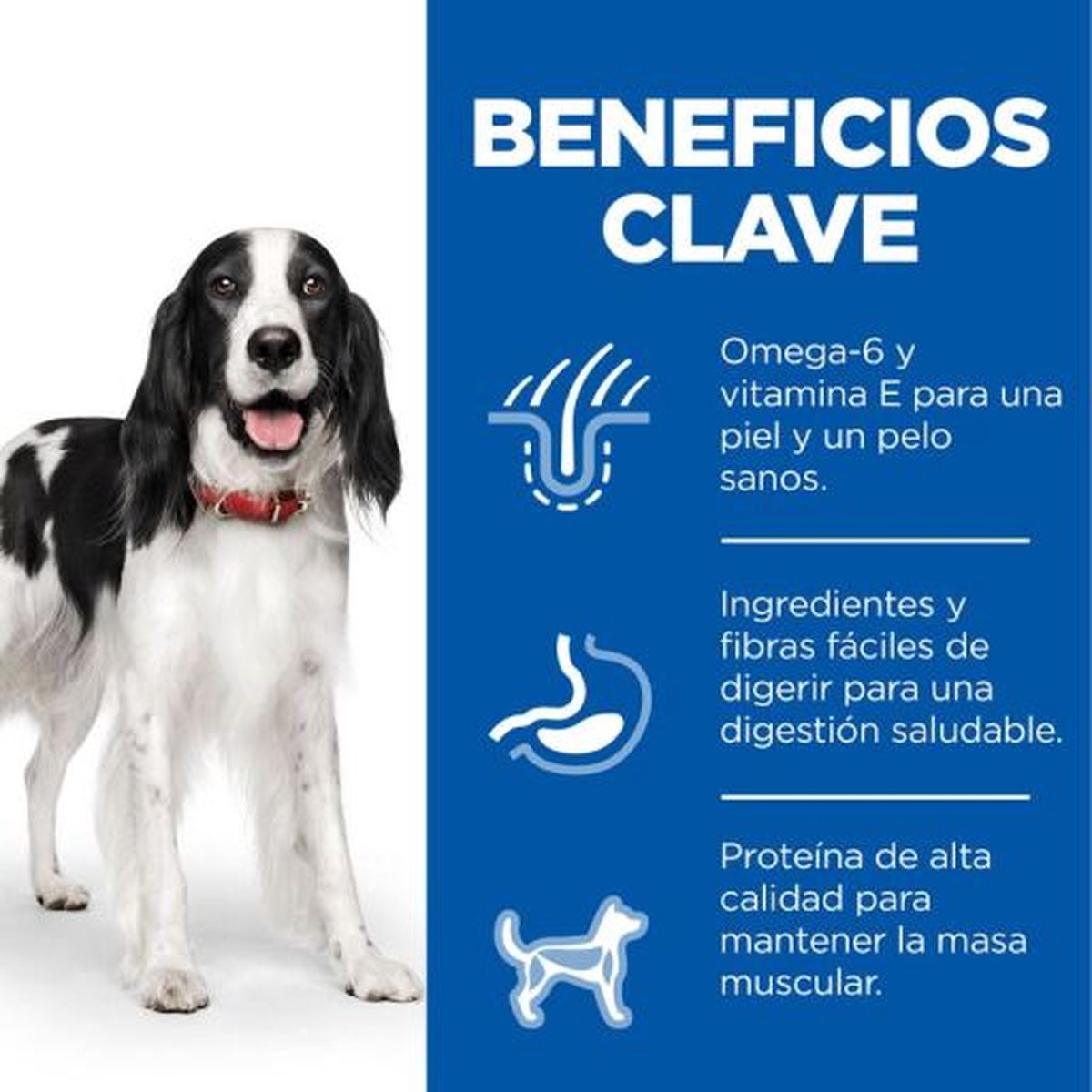 Hill's Canine Adult Advanced Fitness Kip - 2.5 KG thumbnail 8