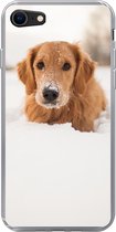Geschikt voor iPhone 7 hoesje - Hond - Sneeuw - Winter - Siliconen Telefoonhoesje