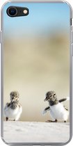 Geschikt voor iPhone 7 hoesje - Jongen - Zand - Vogels - Siliconen Telefoonhoesje