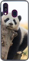 Geschikt voor Samsung Galaxy A40 hoesje - Panda - Boom - Licht - Siliconen Telefoonhoesje
