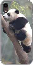 Geschikt voor iPhone XR hoesje - Panda - Dier - Boom - Siliconen Telefoonhoesje