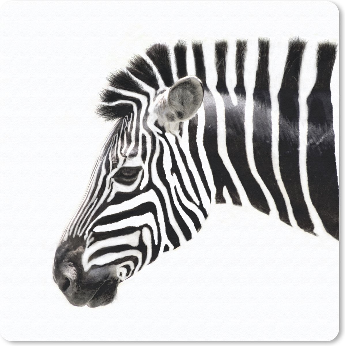 Muismat 30x30 cm - Mousepad Zebra - Dieren - Wit - Muismatten
