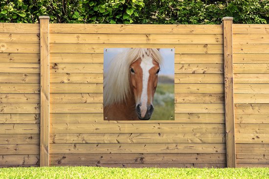Toile de jardin un cheval islandais - 100x100 cm