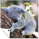 Tuinposters Koala - Boomstam - Knuffel - Kids - Jongens - Meiden - 50x50 cm - Tuindoek - Buitenposter