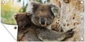 Wanddecoratie buiten Koala's - Kind - Boom - Kinderen - Jongens - Meiden - 160x80 cm - Tuindoek - Buitenposter