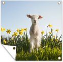 PDP.ProductImage.Thumb.Image.srtText 16