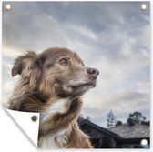 Tuinposters Starende hond - 50x50 cm - Tuindoek - Buitenposter