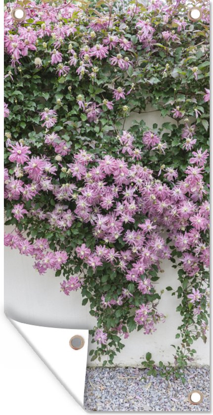 Tuinposter Klimplant met roze bloemen - 40x80 cm - Wanddecoratie Buiten - Tuinposter - Tuindoek - Schuttingposter - Tuinschilderij