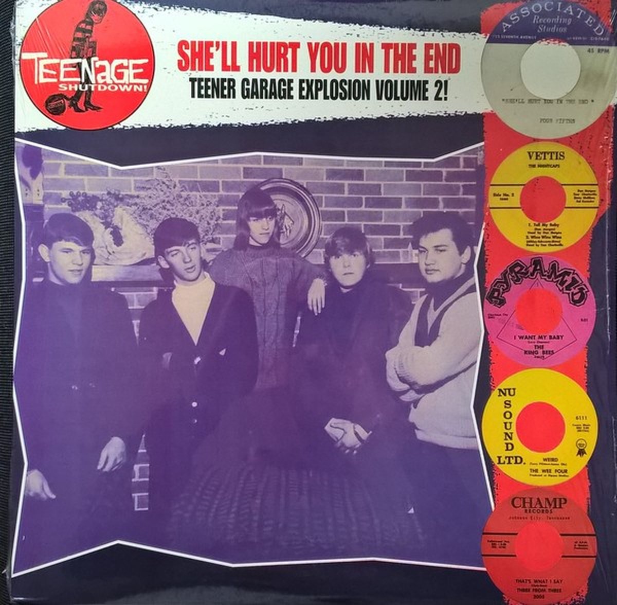 Various Artists - She'll Hurt You In The End (Teener Garage Explosion Volume 2!) (LP)