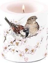 Ambiente Kaars klein Sparrows Blossom