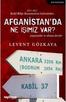 Afganistan'da Ne İşimiz Var?