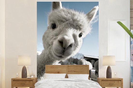 Slijm eindeloos Norm Behang - Fotobehang Alpaca - Dier - Wit - Breedte 180 cm x hoogte 280 cm |  bol.com