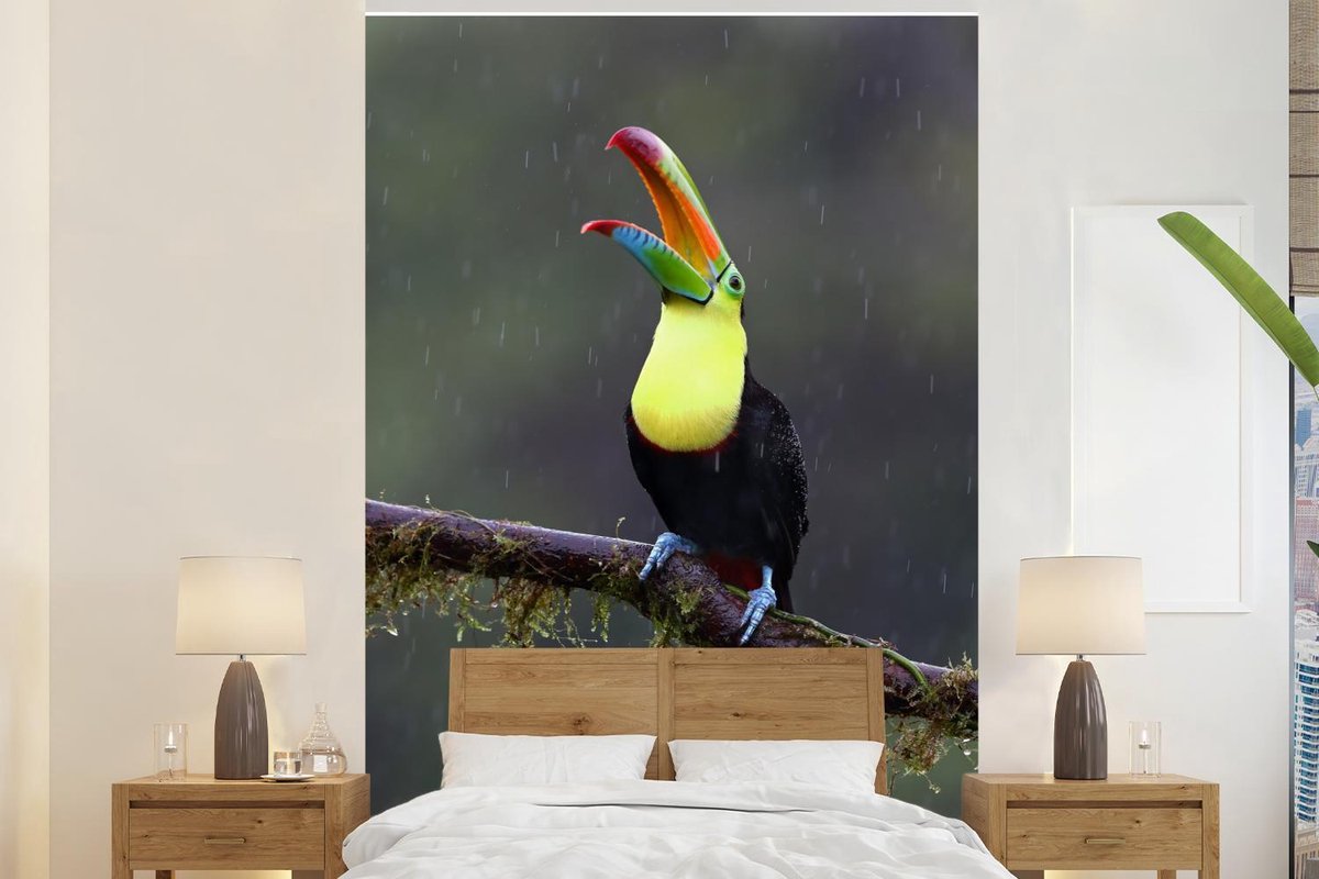 Behang - Fotobehang Toekan in de regen - Breedte 145 cm x hoogte 220 cm