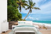 Papier peint Papier peint photo en vinyle - Palmier suspendu au dessus de la plage largeur 450 cm x hauteur 300 cm - Tirage photo sur papier peint (disponible en 7 tailles) / Mer et plage