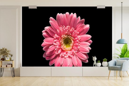 Papier peint Papier peint photo en vinyle - Fleur rose sur fond noir largeur 420 cm x hauteur 280 cm - Tirage photo sur papier peint (disponible en 7 tailles)